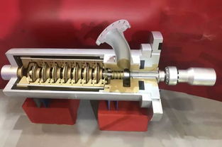 Clothing and Accessories